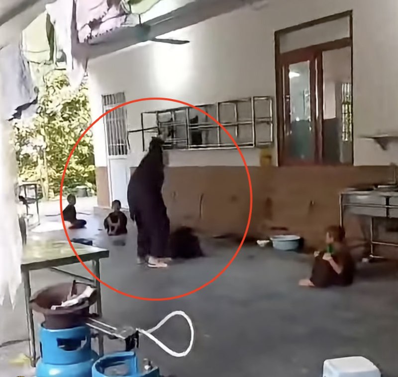 #越南 惯犯出狱不久铤而走险，假牌摩托抢女子贵重金链，案发当日就被警方快速抓捕归案
