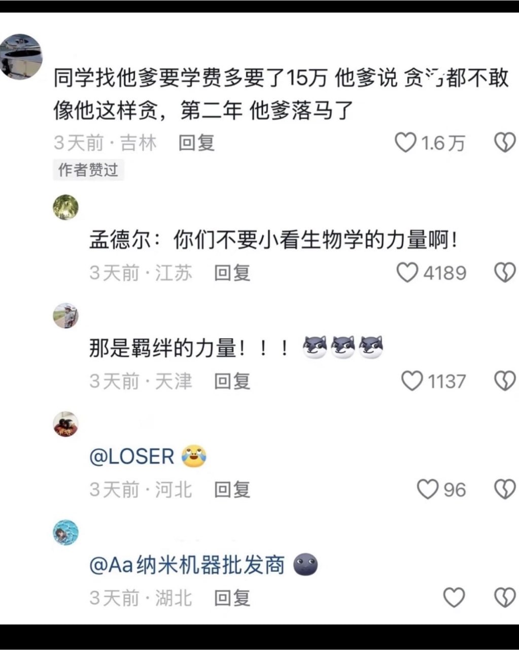 留子：洗钱我们是专业的……