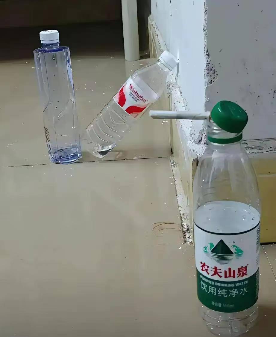 绿帽 已戴好