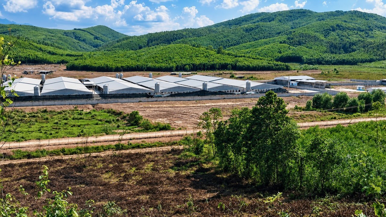 #越南 多乐省猪场恶臭扰民，氨气超标1.44倍，企业合计被罚1.8亿越南盾