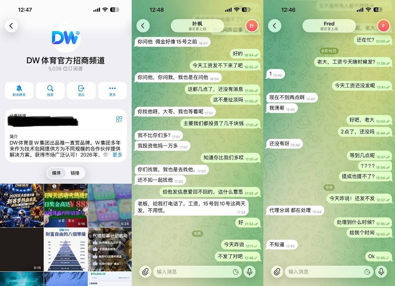 #网友爆料：DW体育 野鸡平台