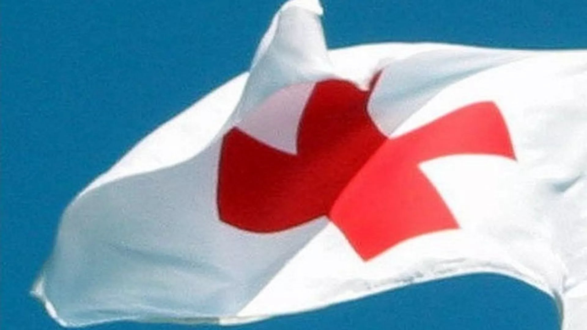 #国际新闻：红十字国际委员会：俄乌失踪者达26.6万，中立寻人局四年收件未减