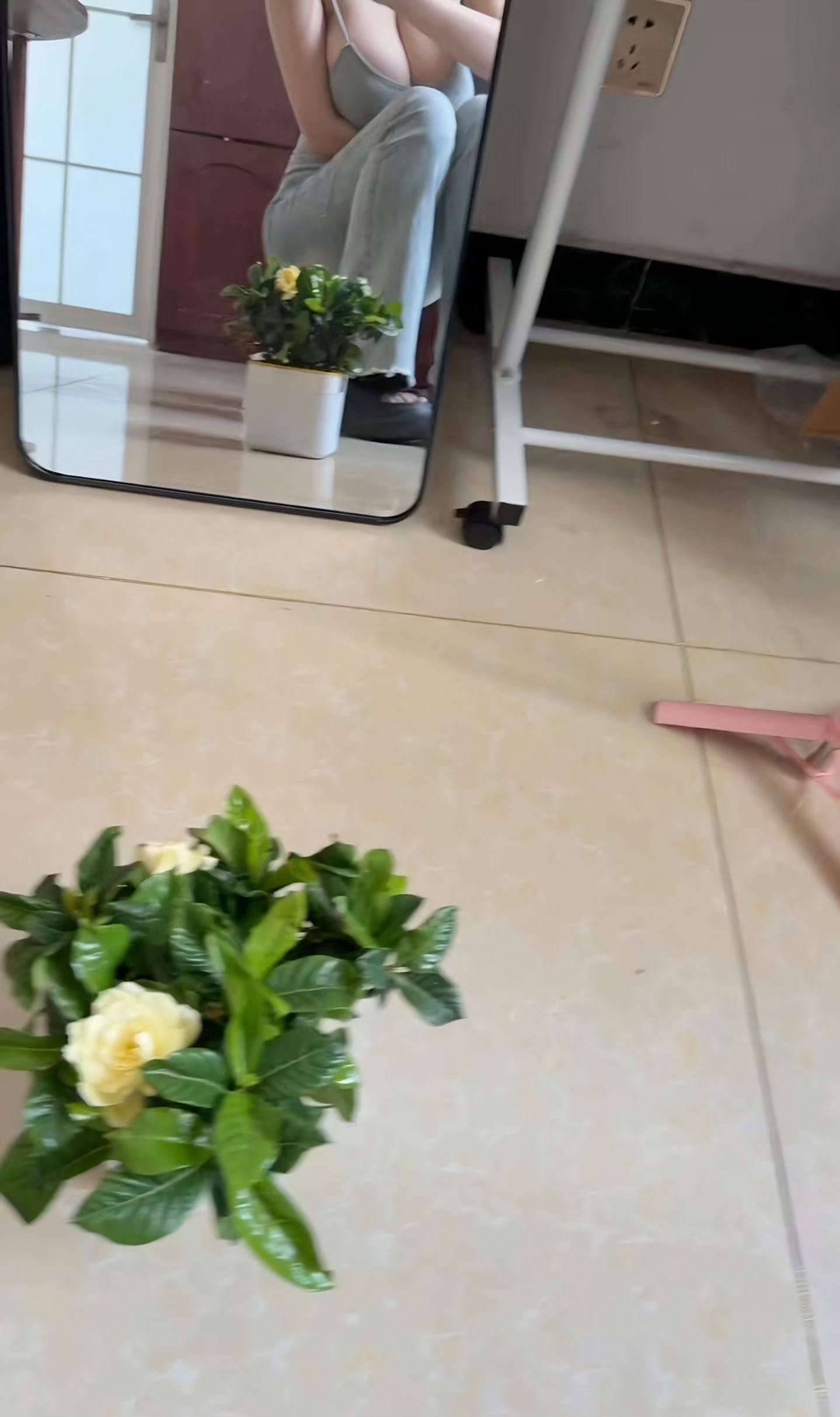 栀子花挺漂亮的