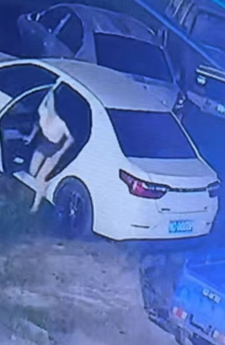 楼下那对男女在车里做什么呢？🍉