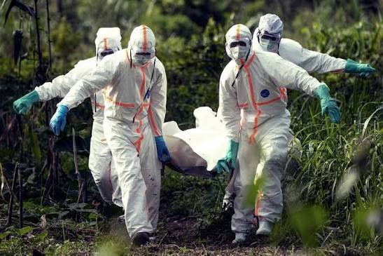 #国际新闻：UN协调员：刚果（金）埃博拉新毒株20天死半，5208确诊2476亡，扩散面抵法国