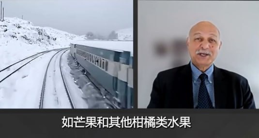 #国际新闻：巴参议员侯赛因：俄—中亚—阿富汗—巴铁路通印度洋将"革命性"改互联，易腐果蔬5天达