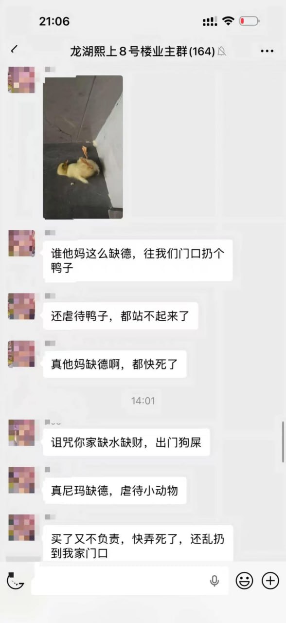 你们小区的业主都是人才啊 #聊天记录 #故事会