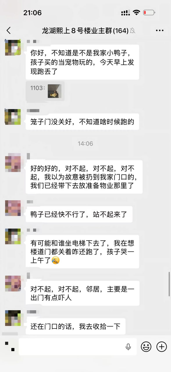 你们小区的业主都是人才啊 #聊天记录 #故事会