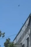 #国际新闻：敖德萨上空雅克-52追打"天竺葵"失败，乌用教练机当防空凑数