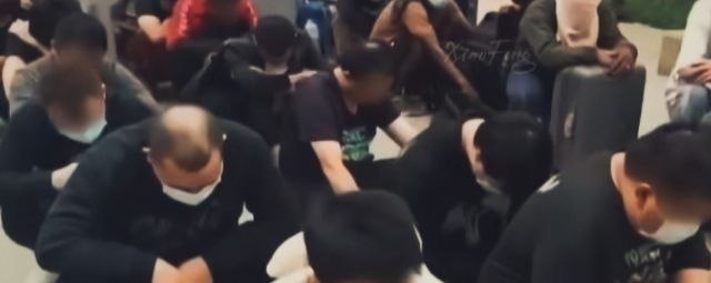 #网友投稿 牵一发而动全身