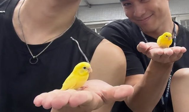 #小姐姐投稿 #GAY #变态吃瓜