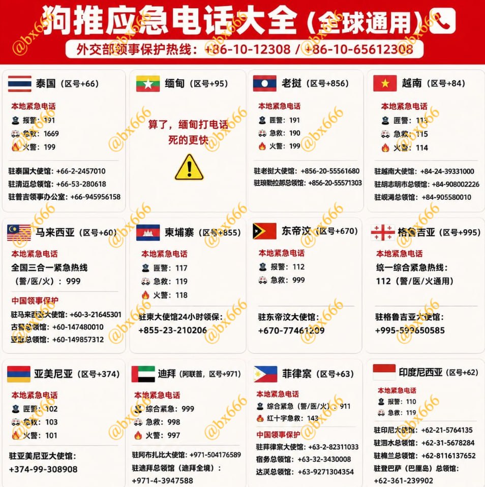 #狗推应急电话大全